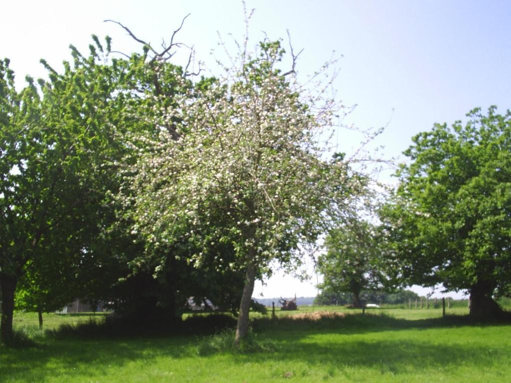 Chambres D'Hote Honey Orchard Farm Vessey Exterior foto