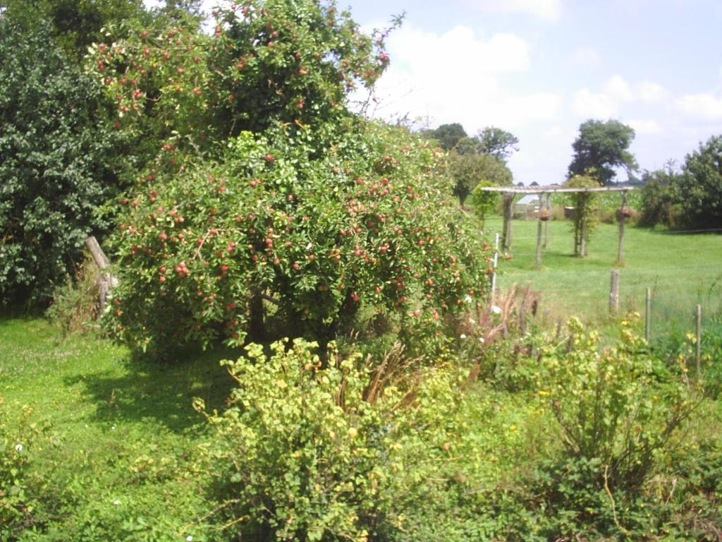 Chambres D'Hote Honey Orchard Farm Vessey Exterior foto