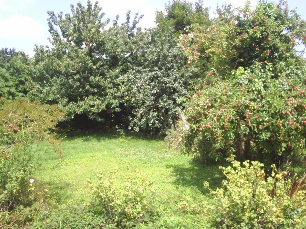 Chambres D'Hote Honey Orchard Farm Vessey Exterior foto